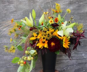 Farm and Garden Flowers