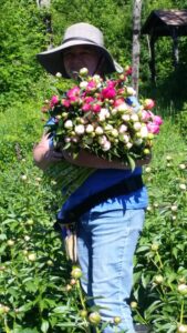 Meadow Ridge Perennials, LLC