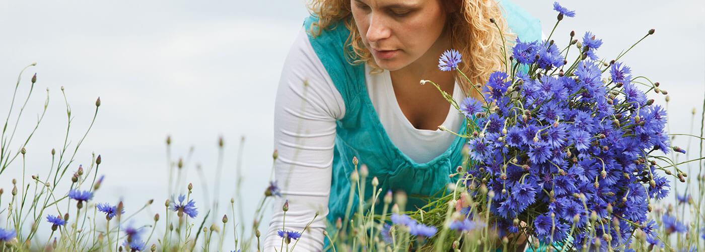 Local Flowers, Growers Near Me | Local Flowers