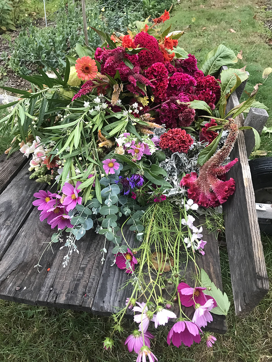 Shari’s Berries & Garden, LLC Local Flowers