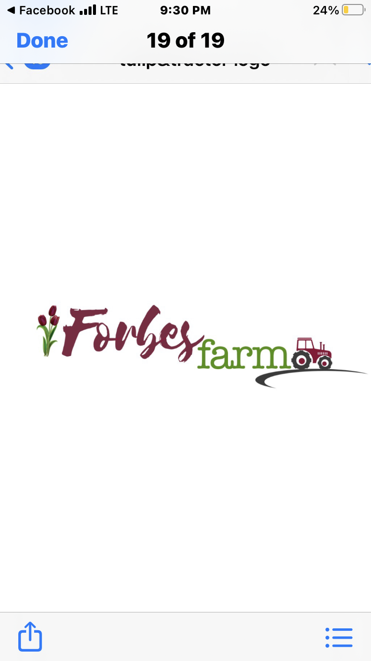 Forbes Farm Local Flowers