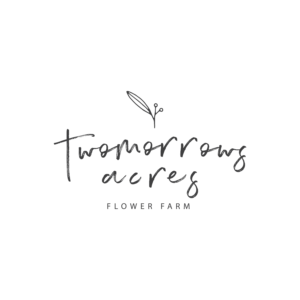 TwoMorrows Acres