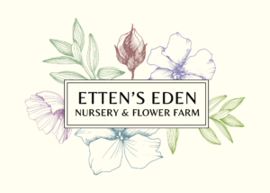 Etten’s Eden – Boutique Garden and Floral Design Center