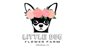 Little Dog Flower Farm