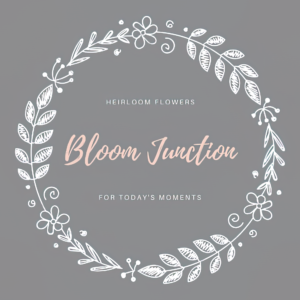 Bloom Junction