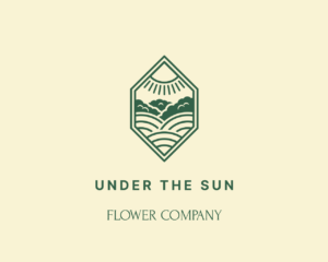 Under the Sun Flower Company