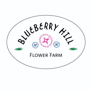 Blueberry Hill Flower Farm