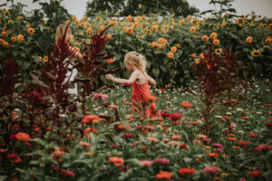 Sunny Hill Flower Farm