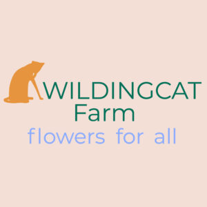 Donyale Werle Design / WILDINGCAT Farm