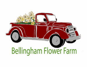 Bellingham Flower Farm